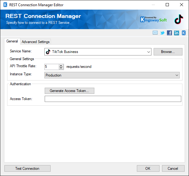 SSIS Tiktok Business Connection Manager